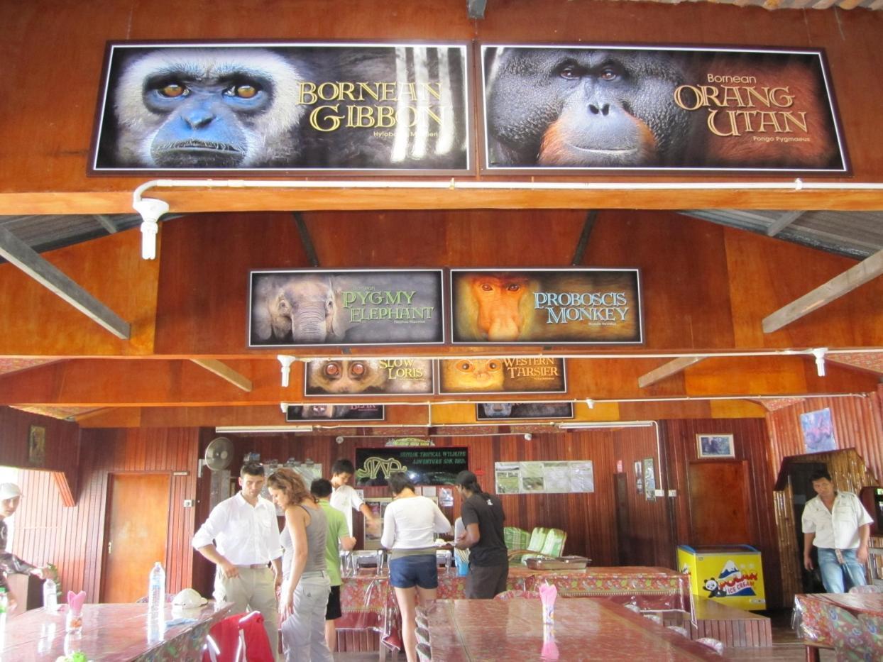 Bilit Adventure Lodge Luaran gambar
