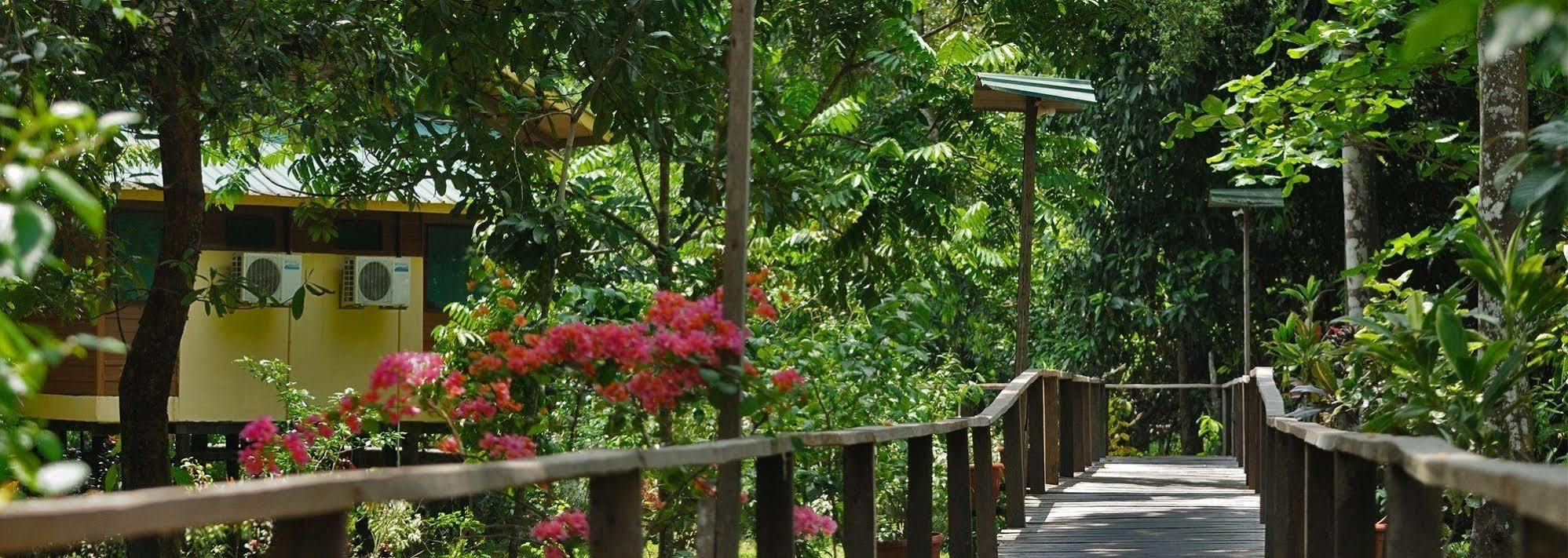 Bilit Adventure Lodge Luaran gambar